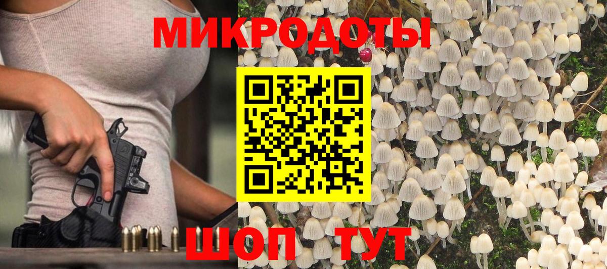 Галлюциногенные грибы прущие грибы Саяногорск